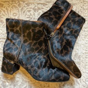 NEW! Franco Sarto bootie